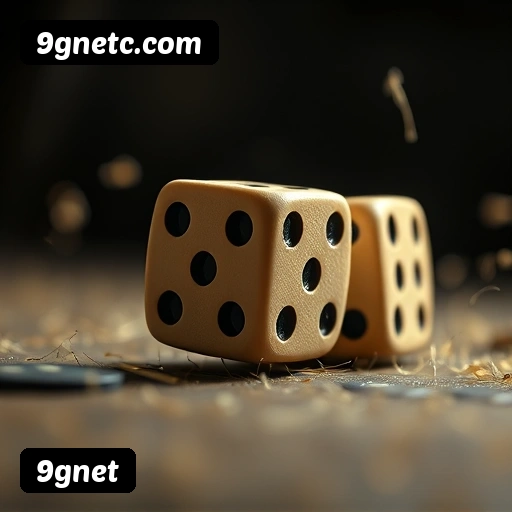 Imagem secundária de apoio para instalação do app 9gnet
